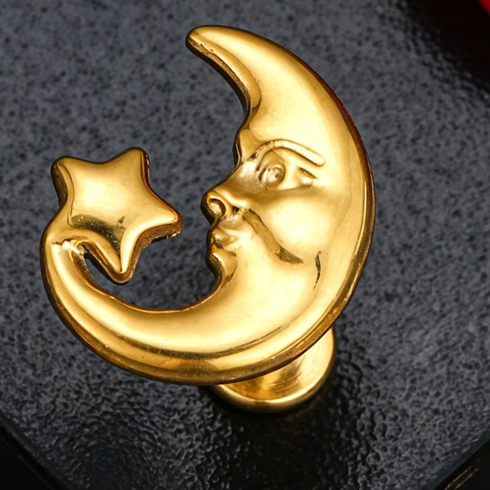 Anting-anting titanium ASTM F1 - Body Jewelry Implant Grade Titanium ulasan dan harga