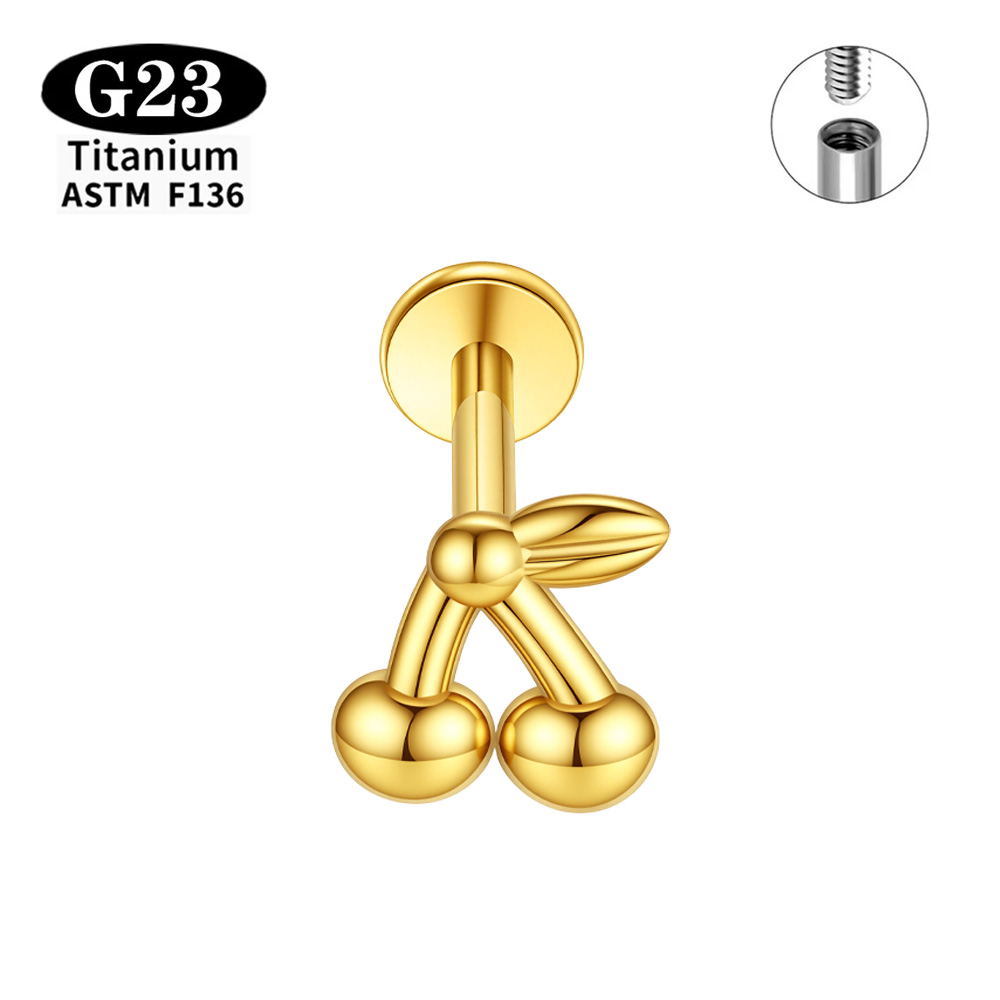 Anting-anting titanium ASTM F1 - Body Jewelry Implant Grade Titanium ulasan dan harga